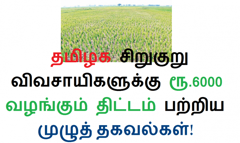 தமிழக சிறுகுறு விவசாயிகளுக்கு ரூ.6000 வழங்கும் திட்டம் பற்றிய முழுத் தகவல்கள்!