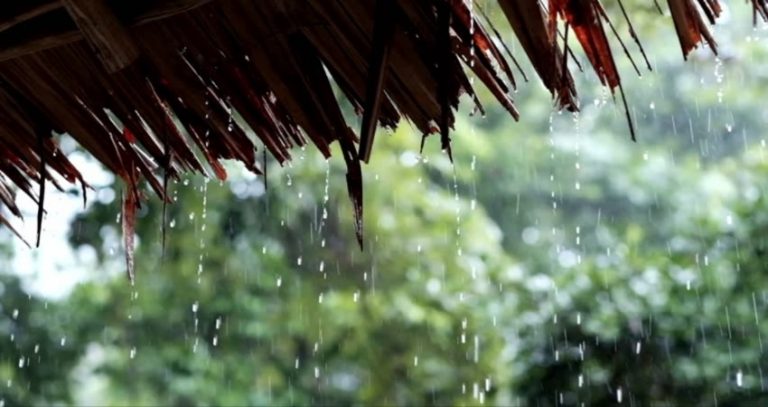 chances of rainfall in tamilnadu