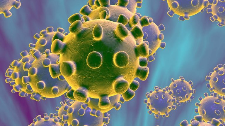 coronavirus worldwide