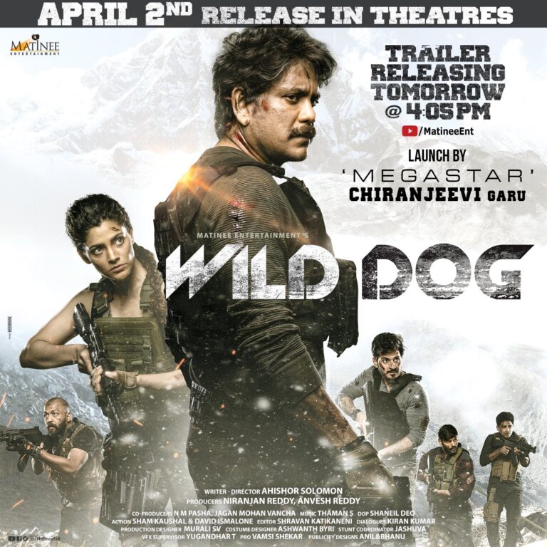 wild dog