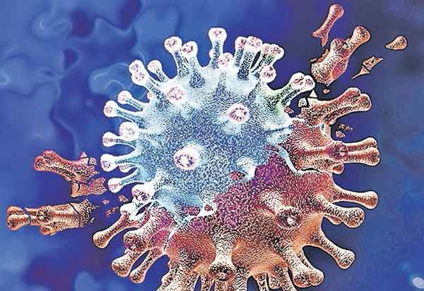 omicron virus