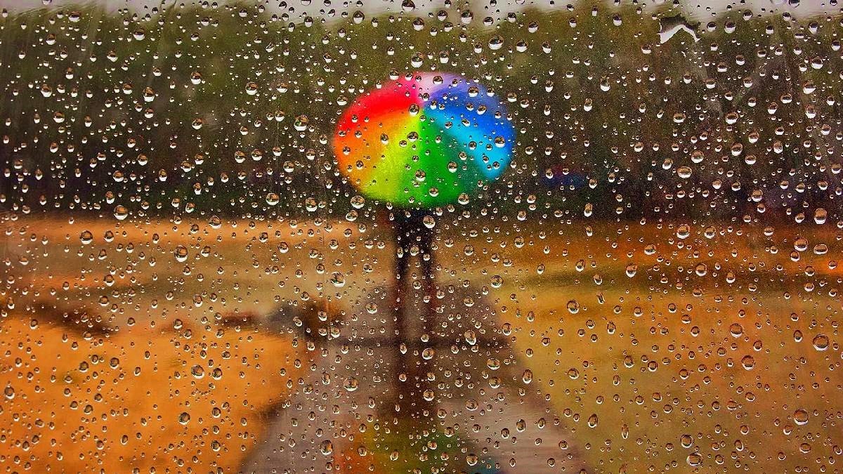 Rain