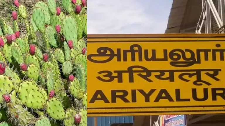 ariyalur