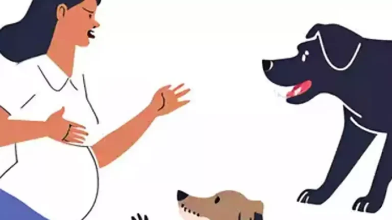 dog 1