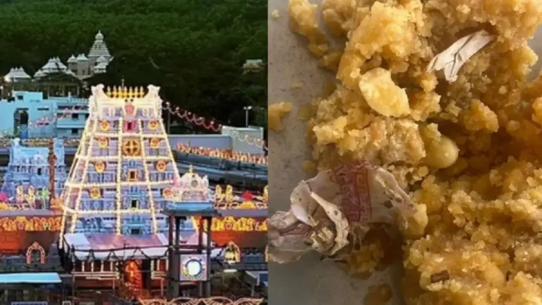 tirupathi laddu