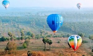 images31392255398163686116