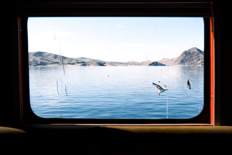 pexels 1173285862 30309800