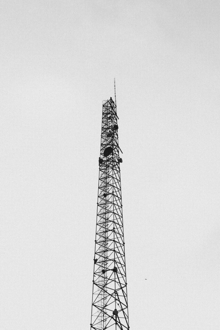 pexels imvitordiniz 20336909