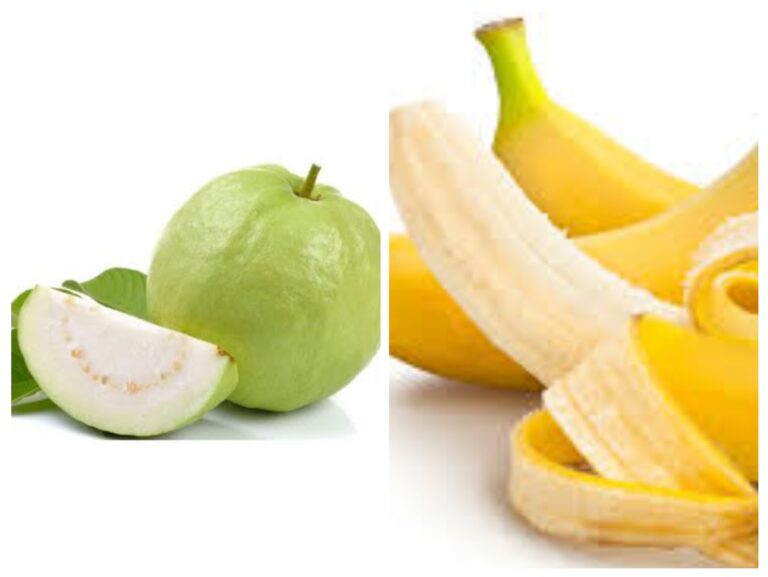 20250202 125706 COLLAGE