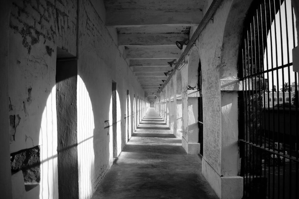 Uncovering the Human Spirit: The Impact of Prison Dramas