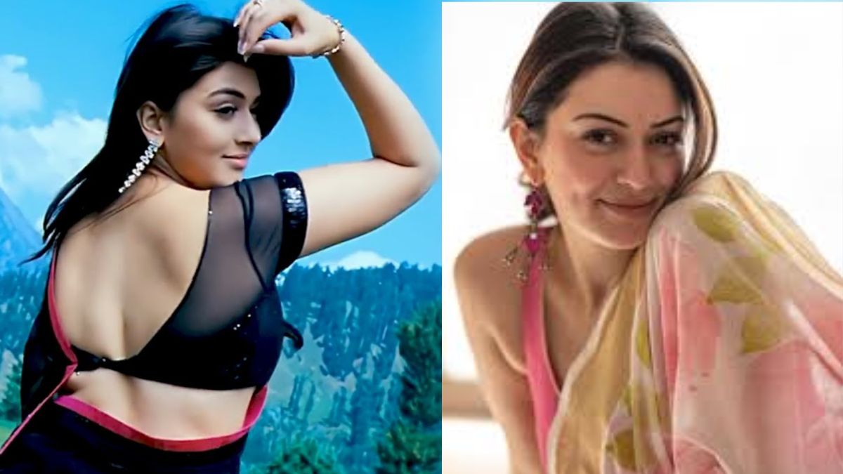 Actress Hansika Motwani and husband Sohael Khaturiya divorce news update from Mumbai Family Court.