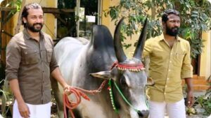 Mysskin Emotional Over Vaadivaasal Script! — "சூர்யாவிற்கு அது ஆல்-டைம் ஹிட்டாக இருந்திருக்கும்!" — 'வாடிவாசல்' கதையைக் கேட்டு மெய்சிலிர்த்த மிஷ்கின்; 'கருப்பு' பட வெற்றிக்காக ஆர்.ஜே.பாலாஜிக்கு பாராட்டு! Actor Suriya training with a ferocious Jallikattu bull alongside director Vetrimaaran during the high-budget test shoot schedule of the movie Vaadivaasal.
